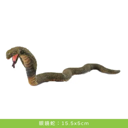 collectA 英國高擬真動物模型-眼鏡蛇
