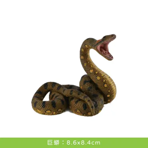 collectA 英國高擬真動物模型-巨蟒 